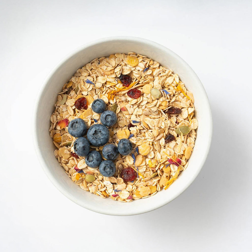 A white bowl filled with Mena Pause muesli topped with fresh blueberries and dried fruit.